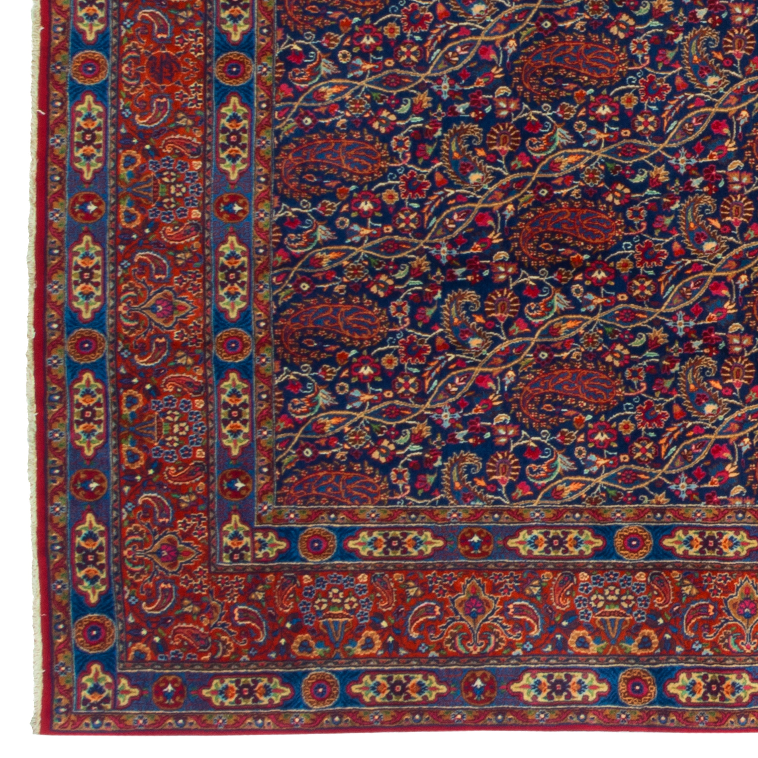 Dorakhsh Handmade Carpet — Sarasar | Wool / Cotton Warp | 242 × 354 cm | SKU 10800152