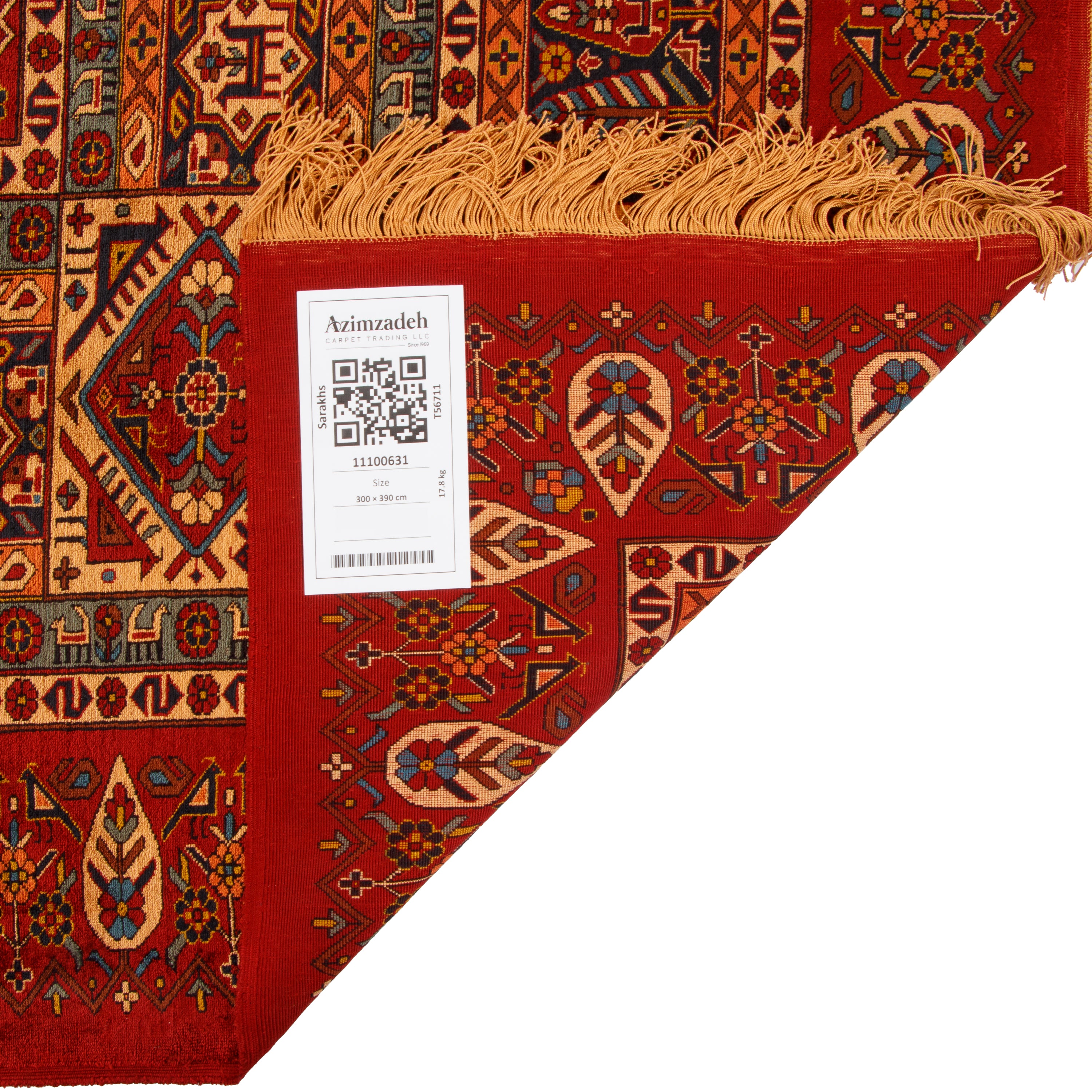 Sarakhs Handmade Carpet — Lachak Toranj | Full Silk | 300 × 390 cm | SKU 11100631