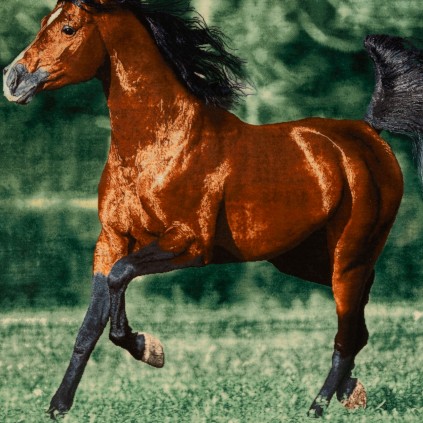 Handwoven Pictorial Rug, All-over Layout, Wool and Silk on Silk Warp, Tabriz, 110 × 107 cm Ref 70100890