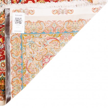 500 × 822 cm Ref 14100760