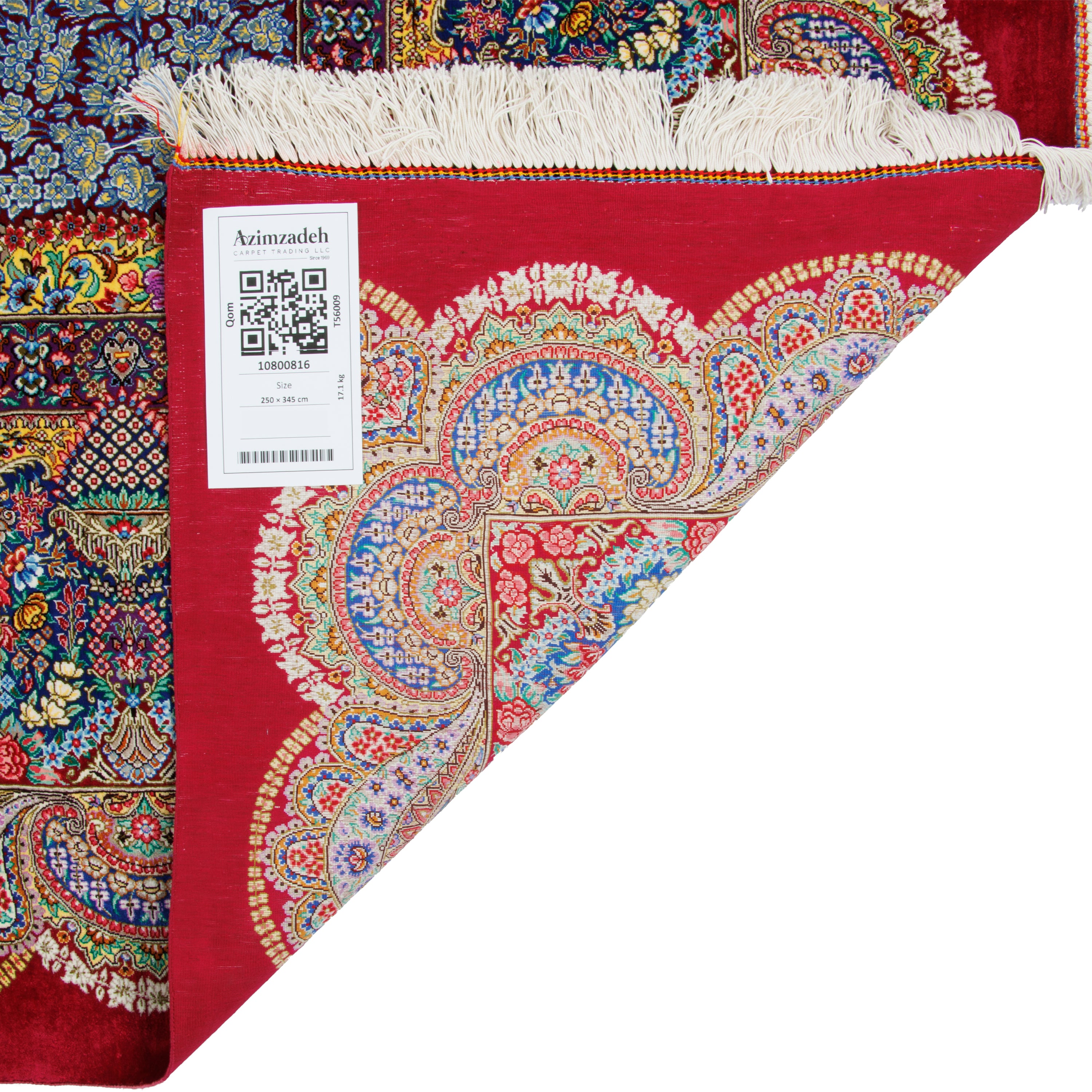 سجادة قم يدوية — لشك وترنج | حرير بالكامل | 250 × 345 سم | SKU 10800816